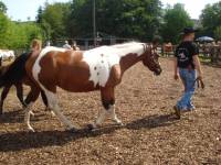 Cheyenne Otoe Leo mit Leos Dancing Buddy